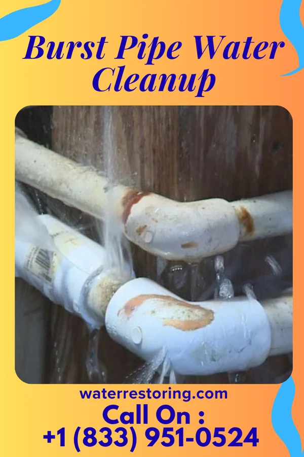 Burst Pipe Water Cleanup in Oregon, WI