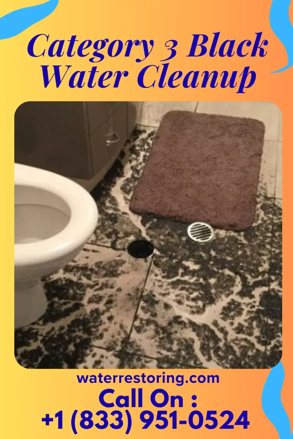 Category 3 Black Water Cleanup in Oregon, WI