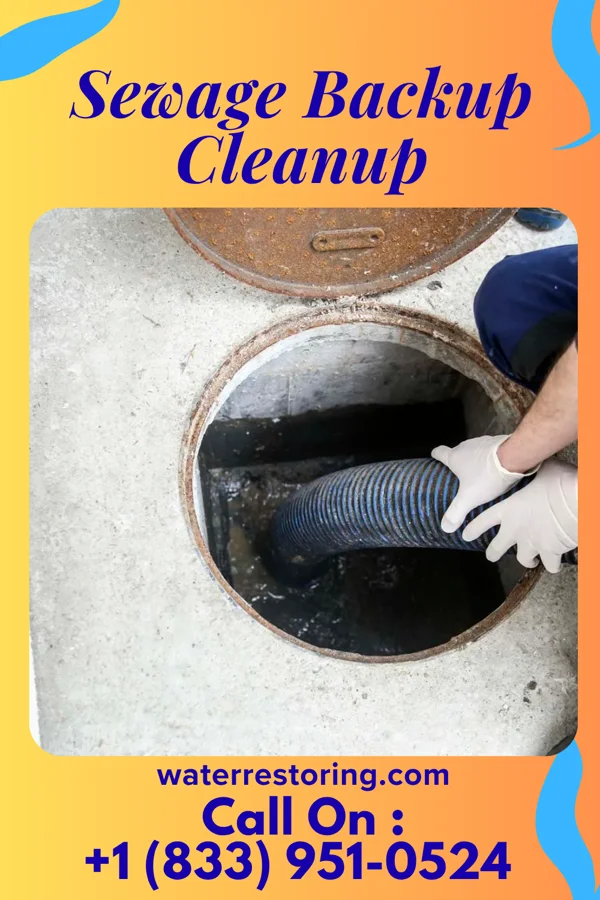 Sewage Backup Cleanup in Oregon, WI