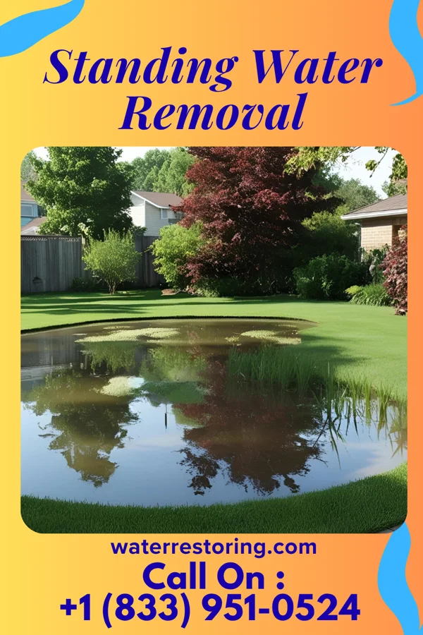 Standing Water Removal in Oregon, WI